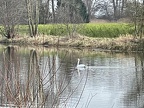 2021-01-24 getrennte Corona Grünkohlwanderung Familien Demuth, Glagau, Hägerling, Heuer, Lüssmann, Piening und Gabi und Uschi 015